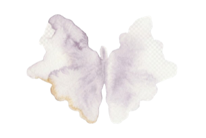 פרפר צבעי מים